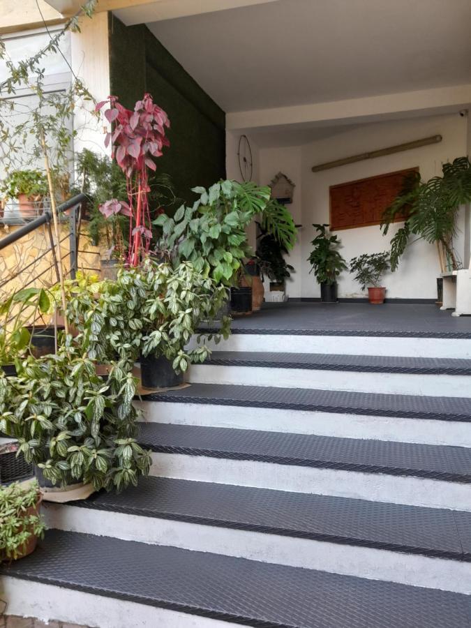 Kristi Apartments 03 Τίρανα Εξωτερικό φωτογραφία